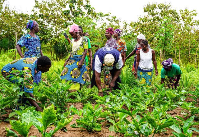 Bria en Résilience : Le PAM et l’inclusion des personnes handicapées contre la faim en Centrafrique