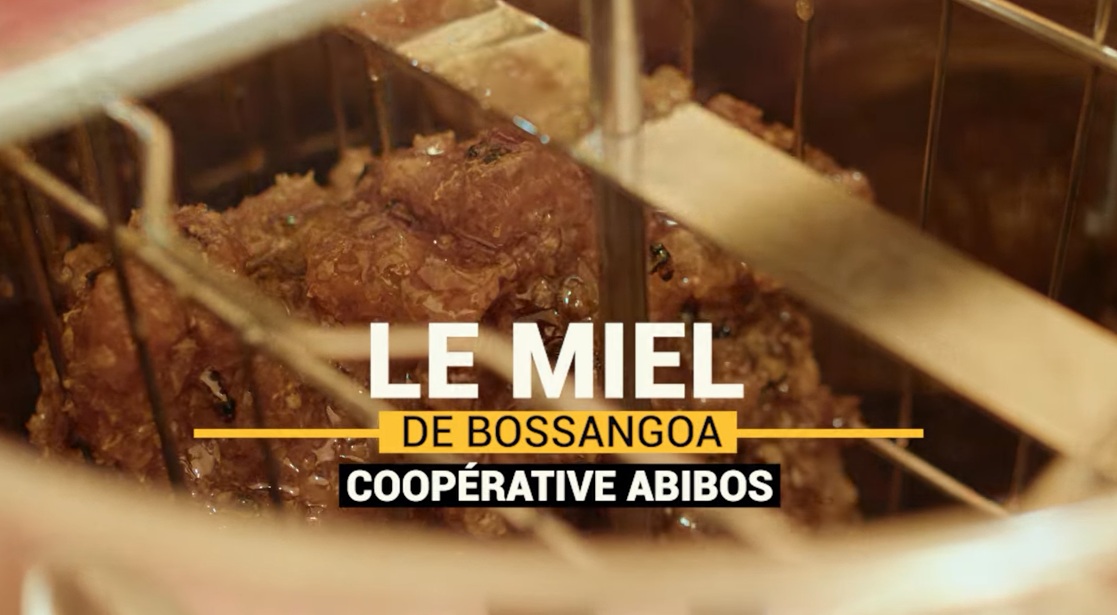 Apiculture - Le Miel de Bossangoa